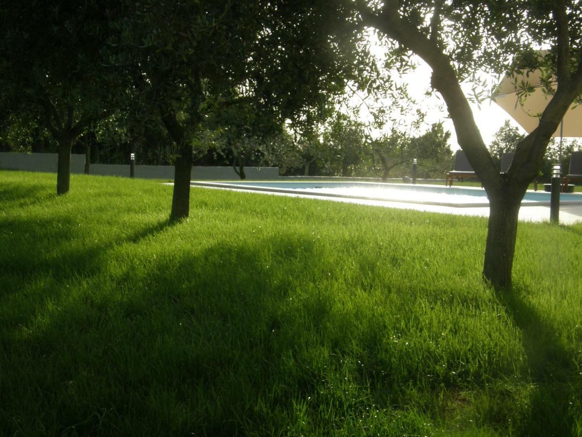 Pool Premium Apartment Vrsar