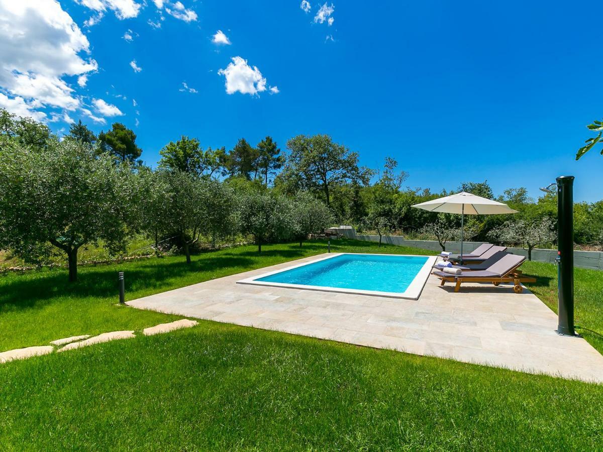 Apartment Pool Premium