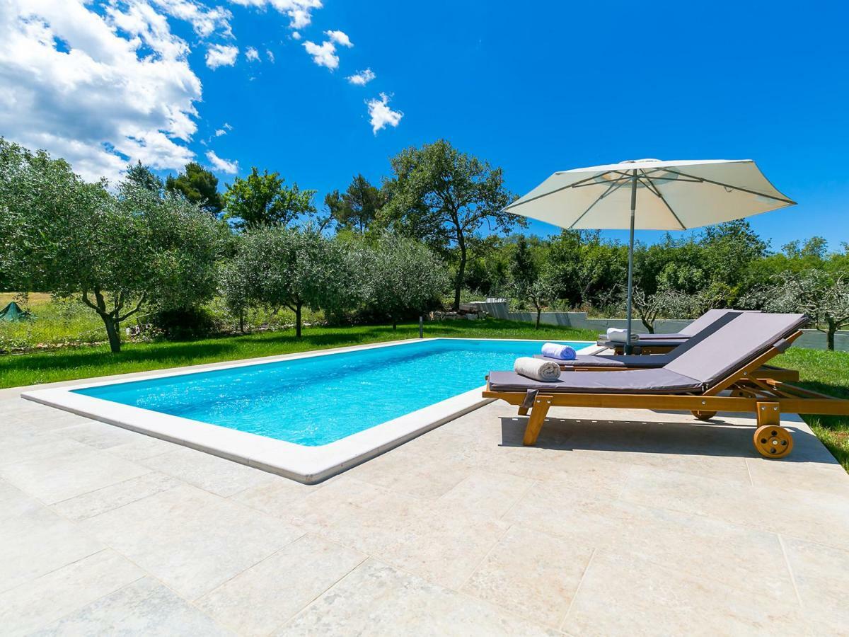 Pool Premium Vrsar