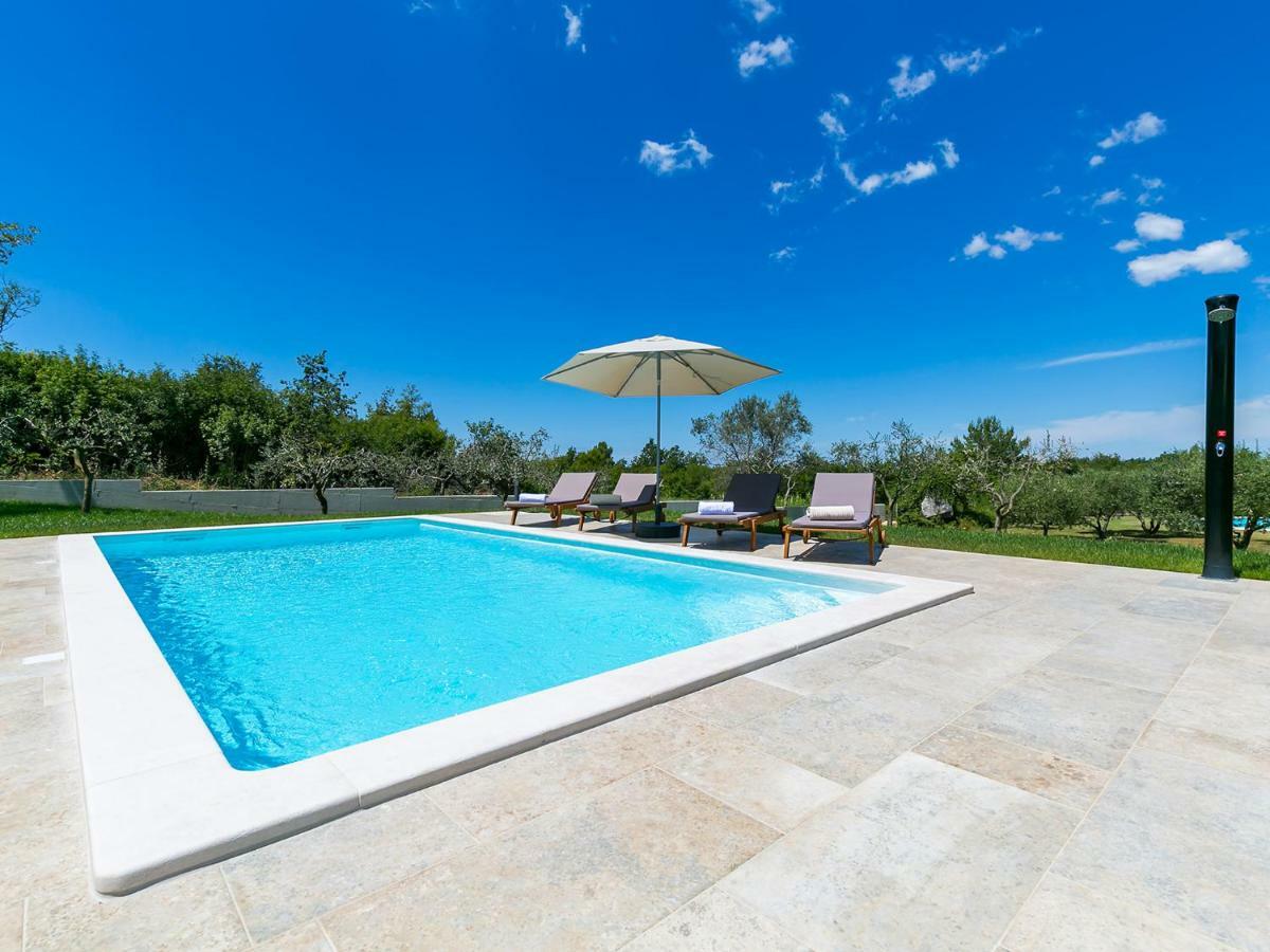 Pool Premium Apartment